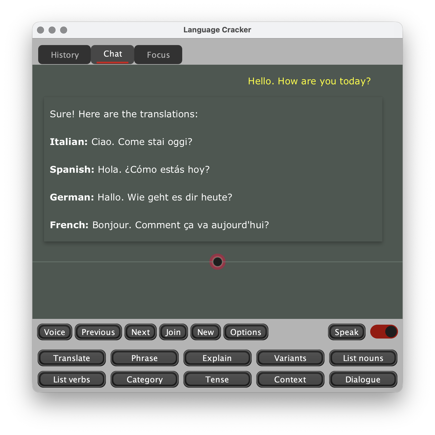 Welcome to Language Cracker, AI learning app for linguists and polyglots